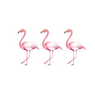 Three Tropical Flamingos Design T-Shirt