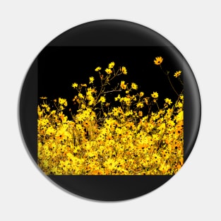 Wild black eyed susan by the dozen Pin