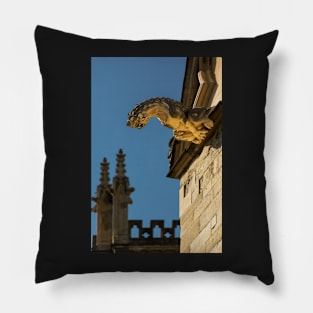 Gargoyles on York Minister Pillow