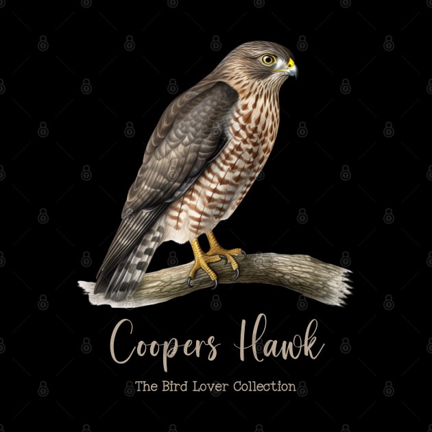 Coopers Hawk - The Bird Lover Collection by goodoldvintage