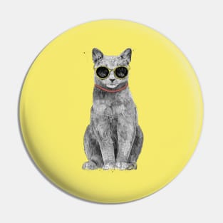 Summer Cat Pin