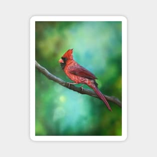 Mr Cardinal Magnet