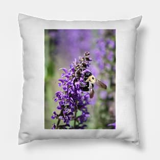 Bumble Bee on a flower Pillow