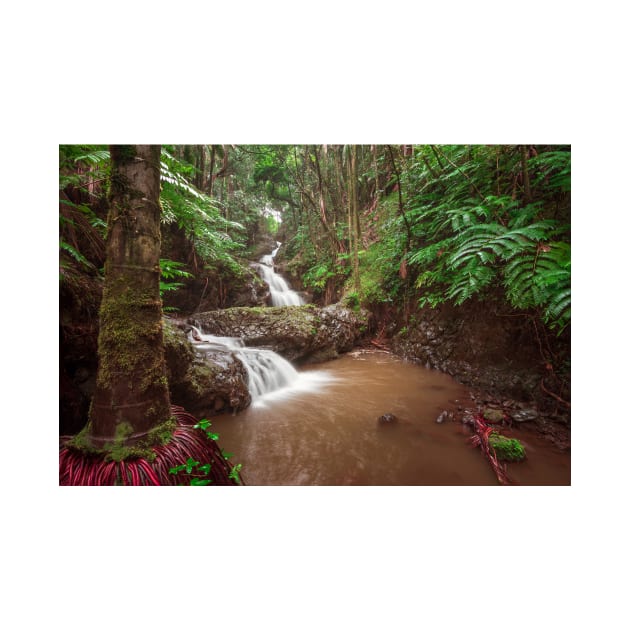 Double waterfall in the rainforest in Hawaii by jswolfphoto