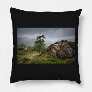 Holme Fell Heather Pillow