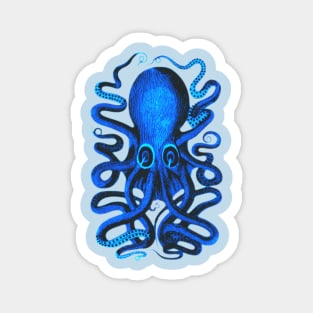 Blue Octopus Magnet