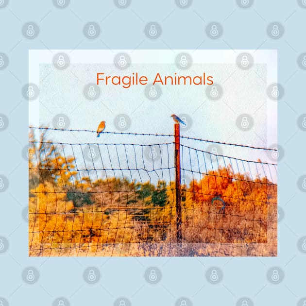 FRAGILE ANIMALS by Noah Monroe