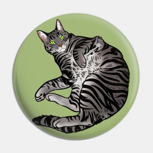 Silver tabby Pin