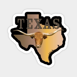 Texas - Rattler Skin -Texas State Map w Longhorn  X 300 Magnet