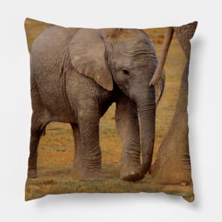 African Wildlife Photography Elephant Calf Pillow