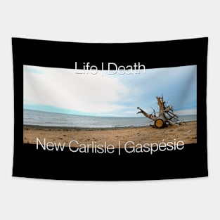 Life | Death DRK Tapestry