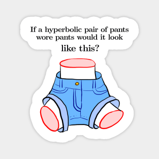 If a hyperbolic pair of pants wore pants... Magnet