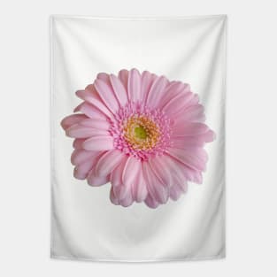 Pink Gerbera for Mom on Mothers Day Tapestry