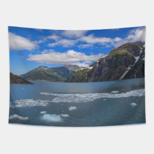 USA. Alaska. Lake with Flowing Ice. Tapestry