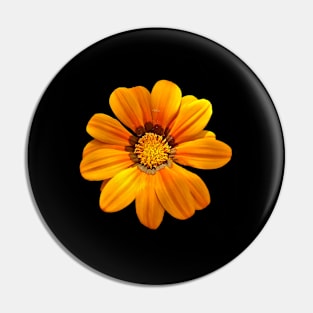 Gazania amarela Pin