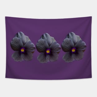 Three Black Viola Flowers Floral Photo Tapestry