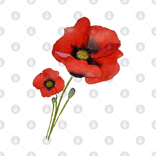 Watercolour Poppies by Kirsty Topps