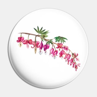 Vintage flowers Pink Bleeding hearts, watercolor Pin