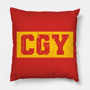 CGY / Flames Pillow