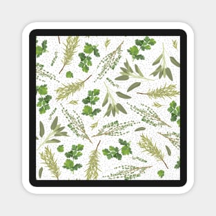 Parsley, sage, rosemary and thyme on gray dots Magnet
