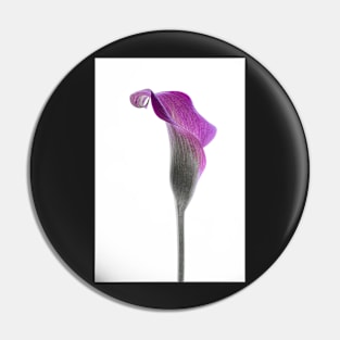 Calla Lily Pin