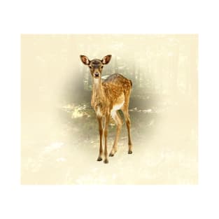 Fallow deer fawn T-Shirt