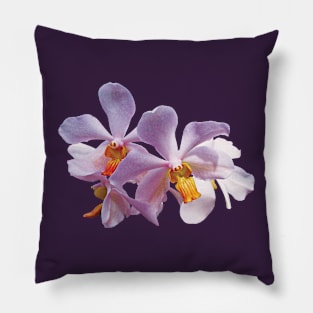 Orchids - Delicate Pink Orchids Pillow