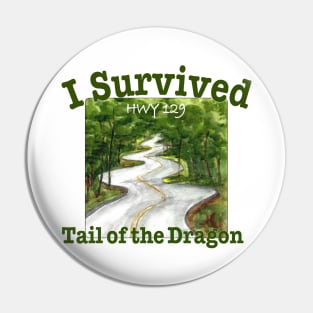 I Survived Tail Of The Dragon, HWY 129 Pin