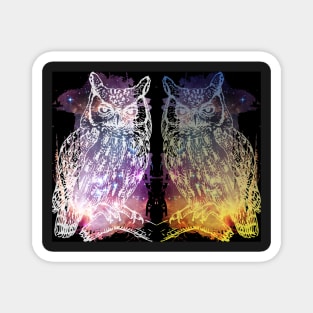 Omni Owl Magnet
