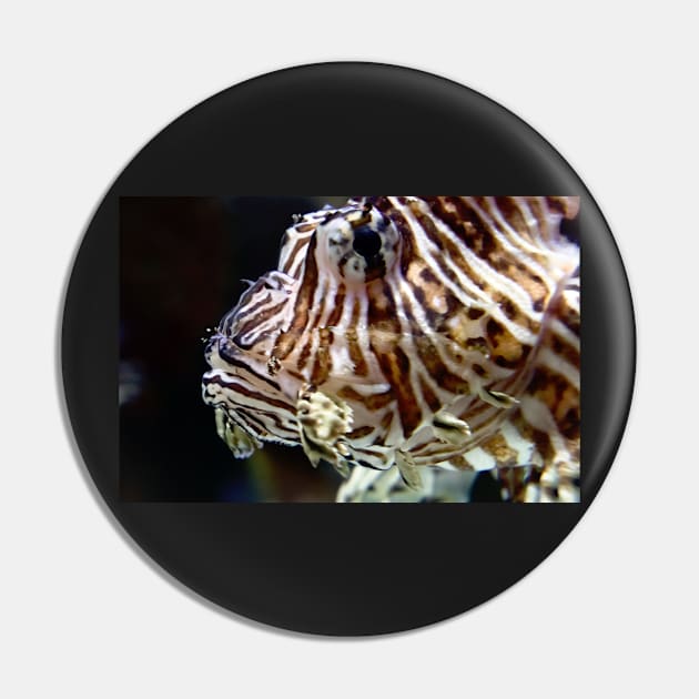 LION FISH Pin by likbatonboot