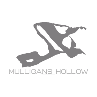 Mulligans Hollow Resort 3D T-Shirt