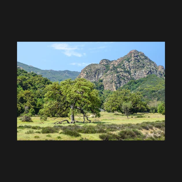 Malibu Creek State Park by mariola5