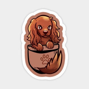 Pocket Cute Irish Setter Dog Magnet