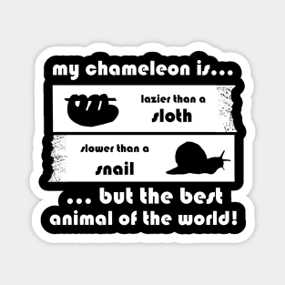 Chameleon Iguana Zoo lizard funny saying Magnet