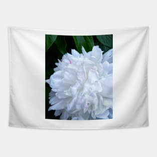 White Peony flower photograph Tapestry