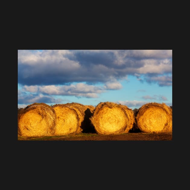 Hay Bales by dags