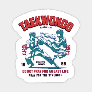 taekwondo Magnet