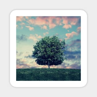 Tree On Hill Magnet