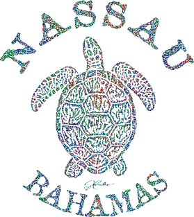 Nassau, Bahamas, Sea Turtle (Distressed) Magnet