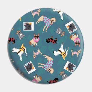 Animals on vacation on blue Pin