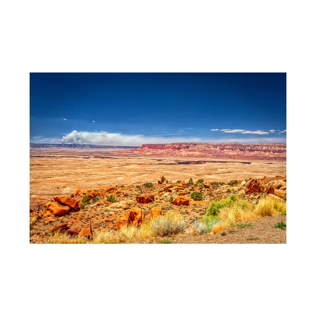 Vermilion Cliffs National Monument by Gestalt Imagery