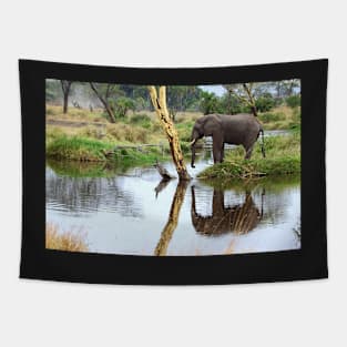 African Elephant, Serengeti National Park, Tanzania Tapestry