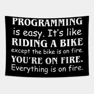 Programming Is easy. It's like riding a bike except the bike is on fire You're on fire Everything is on fire Tapestry