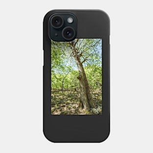 Beech forest and hiking trail Phone Case