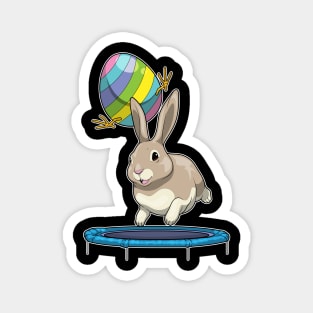 Bunny Easter Easter egg Trampoline Magnet