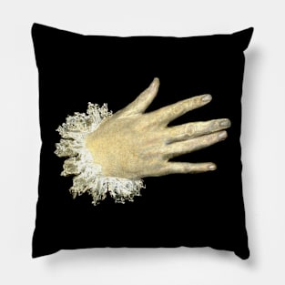 The Nobleman with his Hand on his Chest Pillow