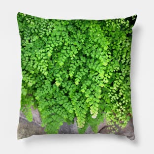 Green Maidenhair Fern For Gardeners Nature Lovers Pillow