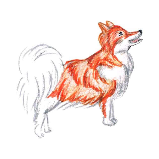 Doggust 2019 - 17 Icelandic sheepdog by EmmeGray