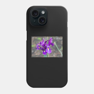 Pittsburgh Purple Lily Phone Case