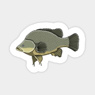 Yellow Belly Fish Magnet